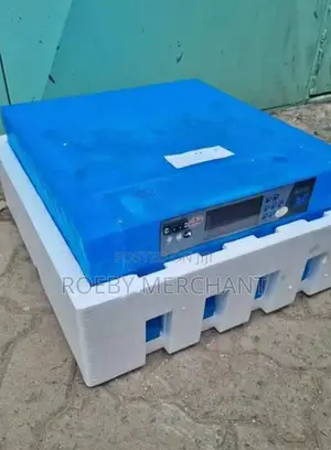 64eggs Incubator
