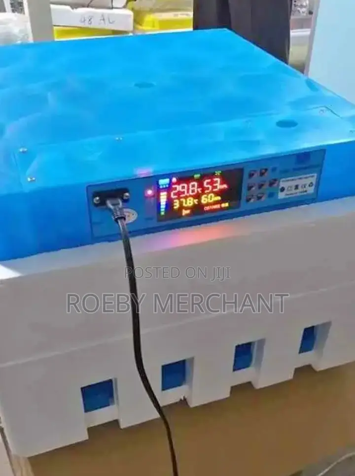 Ideal 64eggs Incubator