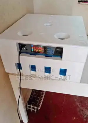 Ac/Dc Automatic Egg Incubator