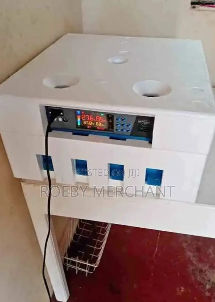 Ac/Dc Automatic Egg Incubator