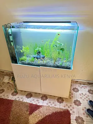 Fully Live Planted Aquarium