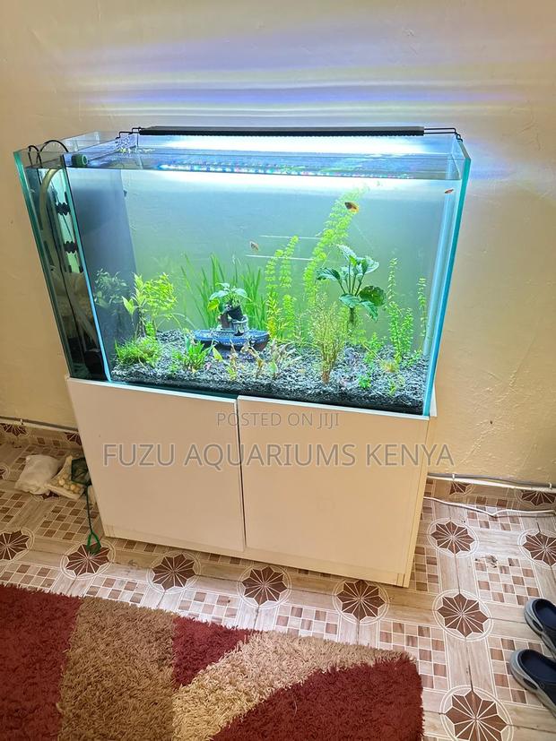 Fully Live Planted Aquarium