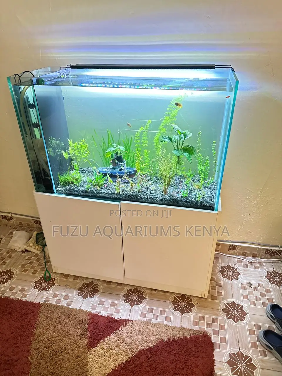 Fully Live Planted Aquarium