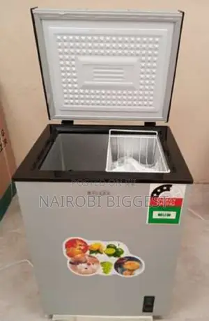 Ecomax 109litres Chest Freezer