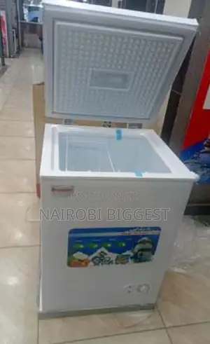 Ecomax 100litres Best Freezer