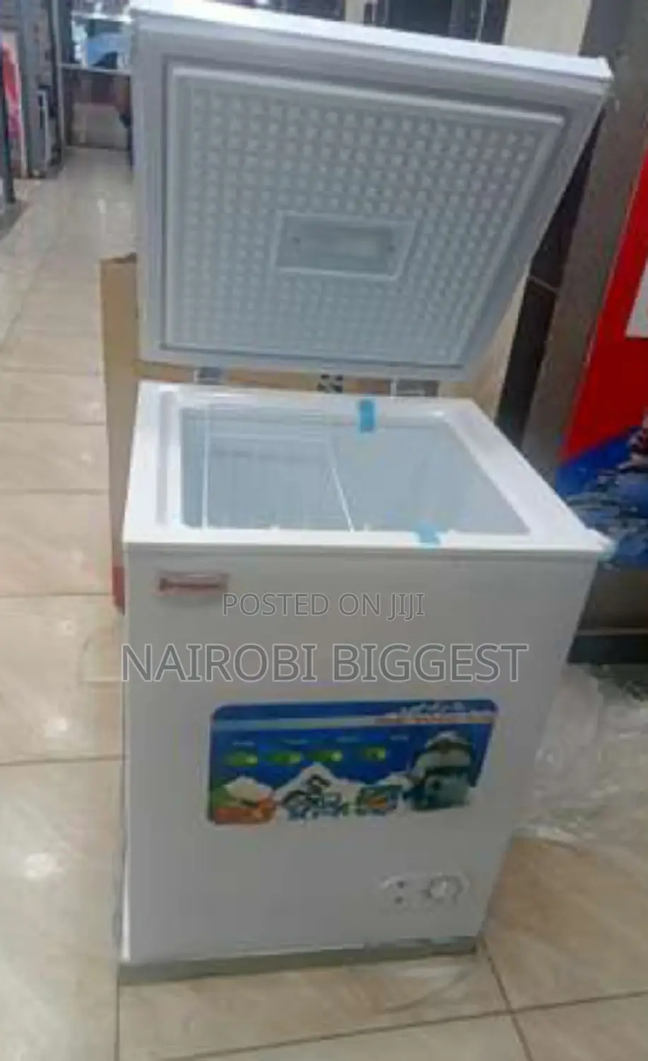 Ecomax 100litres Best Freezer