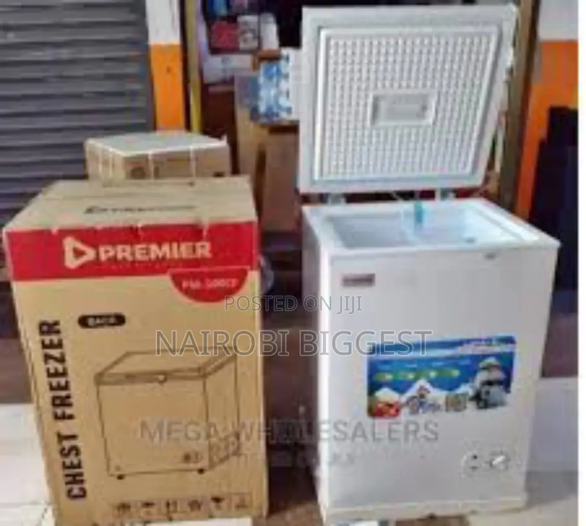 Premier 100litres Deep Freezer- Power Saver
