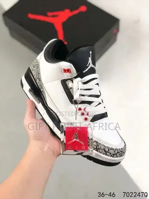 Air Jordan 3 Sneakers for Men