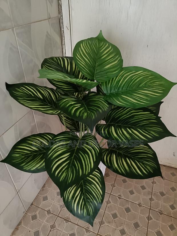 Stripped Plant 18leaves