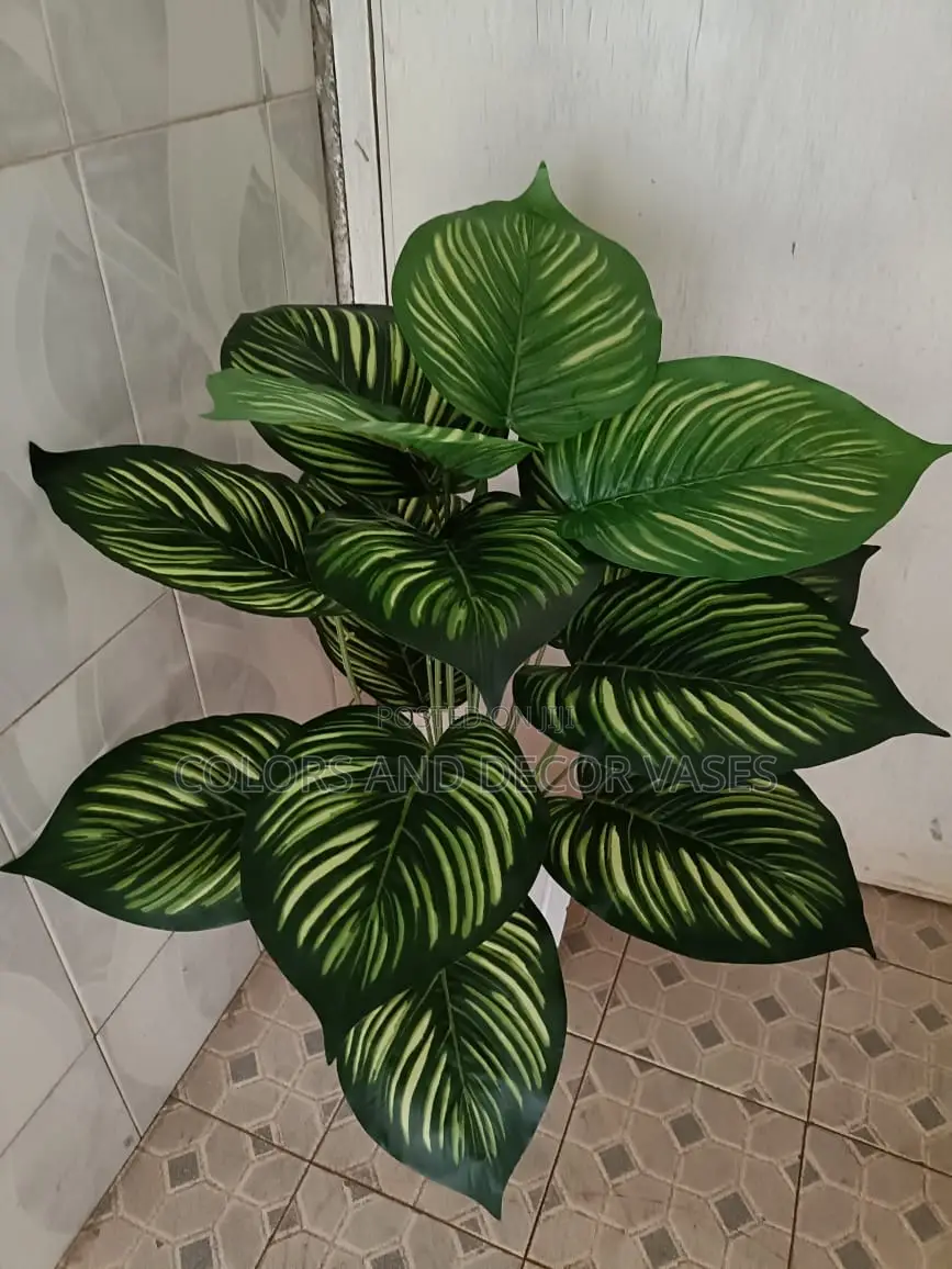 Stripped Plant 18leaves