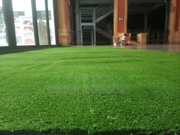 Grass Carpet Grass Carpet Grass Carpet Grass Carpet - main view