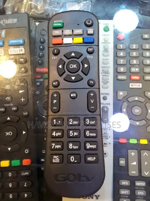 New Model Gotv Remote