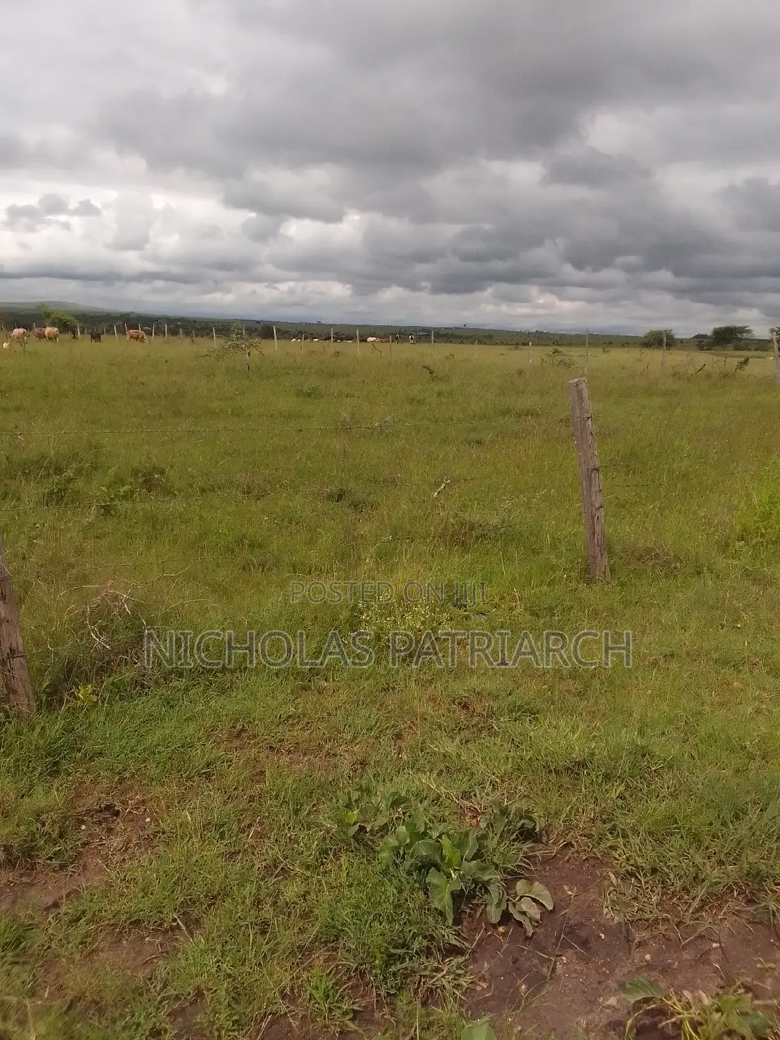 100 Acres Lukenya Daystar Selling at 8m Per Acre.