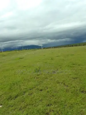 100 Acres Lukenya Daystar Selling at 8m Per Acre.