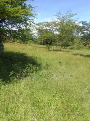 100 Acres Makindu Kizigo 100m From Wote Road at Per Acre