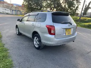 Toyota Corolla Fielder 2009 Silver