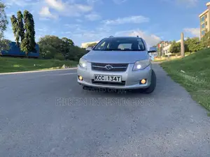 Toyota Corolla Fielder 2009 Silver