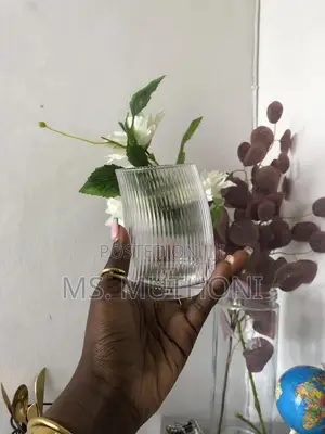 4 Pieces Heavy Duty Ribbed Penguen Glass
