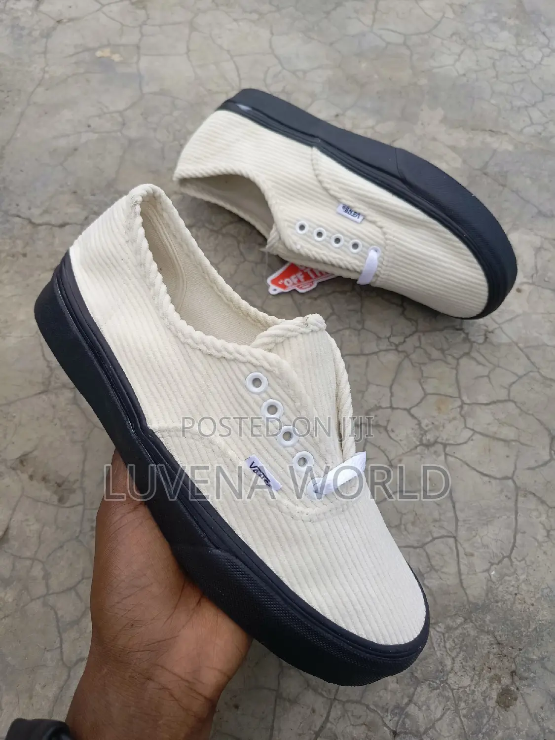 Cuodroy Vans