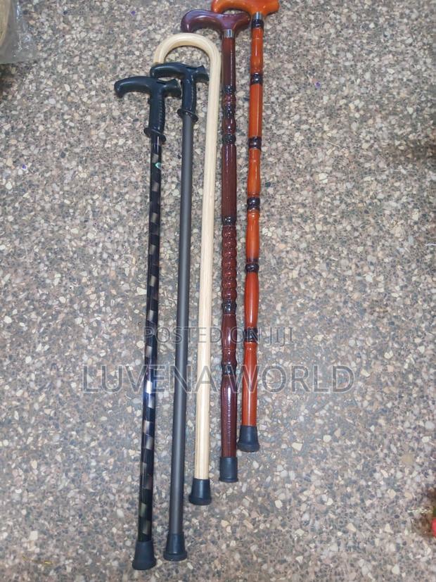 Walking Sticks - main view