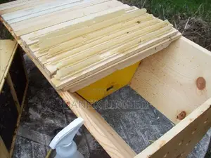 Kenya Top Bar Hive(K.T.B.H) With Queen Excluder