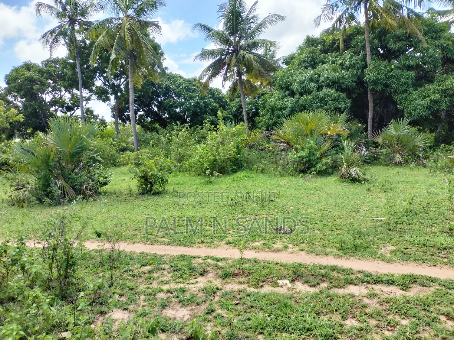 3 Acre Tiwi Plot