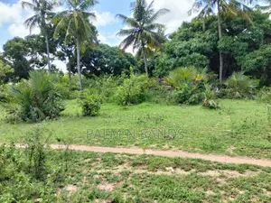 3 Acre Tiwi Plot