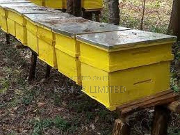 Langstroth Hives Made From Hard Wood Timbers
