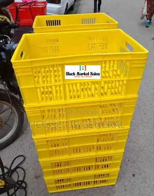 Normal Plastic Crates H300 X W400 X L 585 Mm