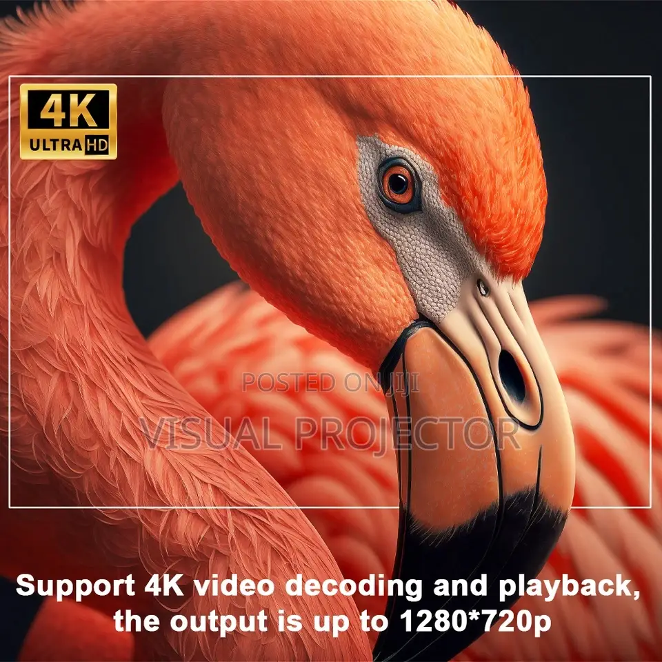 HY300 PRO + 120 " ALR Screen Combo Offer