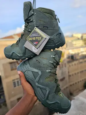 Goretex Lowa Boot