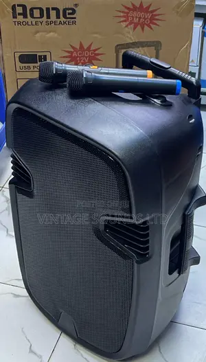 Aone 15” Rechargeable Portable Amplified Powered Speaker