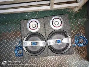 Sony 6inches Midranges