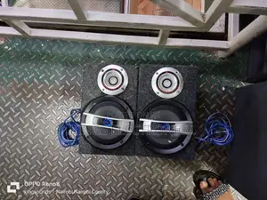 Sony 6inches Midranges