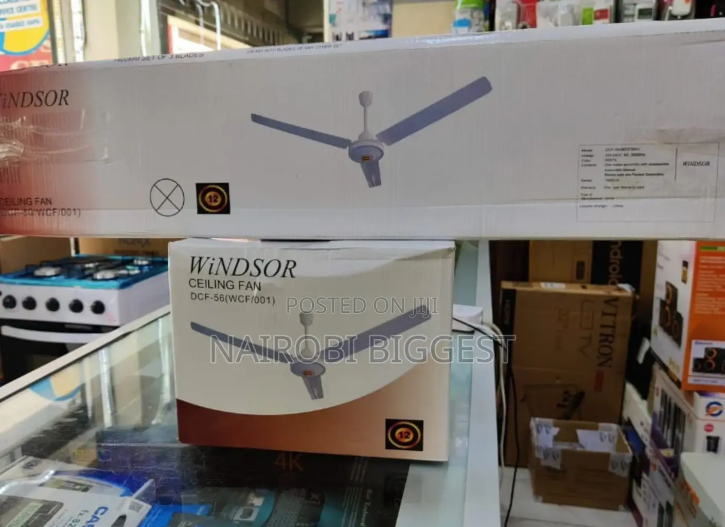 Windsor 56" Ceiling Fan