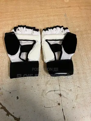 Taekwondo Hand Protector (M/L) /Gloves
