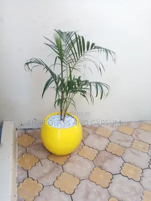 Fibre Flower Pots