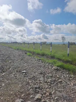 Syokimau-Katani Plots ^BW