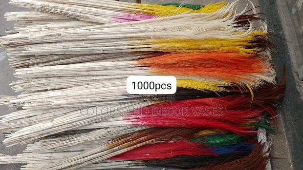 Pampas Grass Variety of Colours