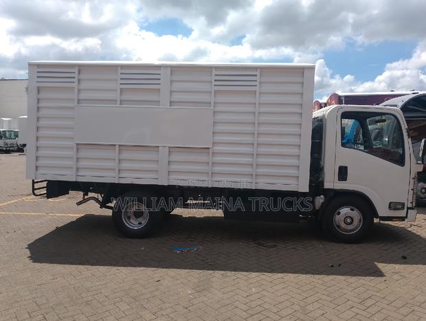 Isuzu 2024 White - thumbnail 2