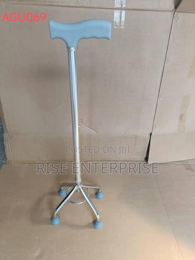 Tripod Walking Stick. - main view