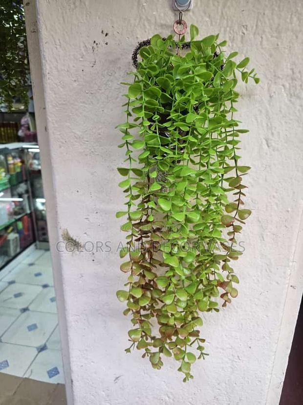 Hanging Flowers - main view