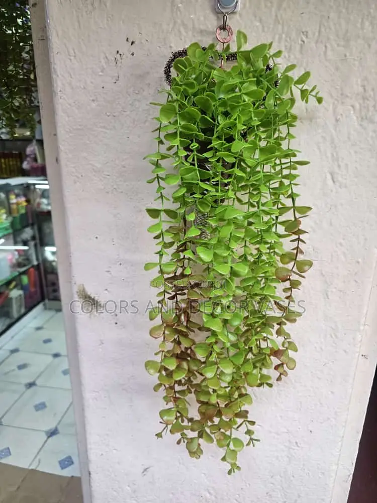 Hanging Flowers