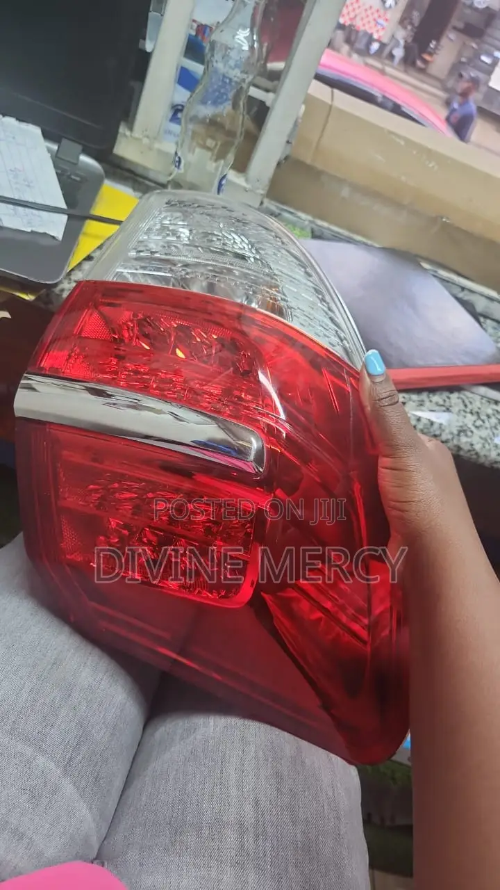 Tail Light Lamp Vanguard