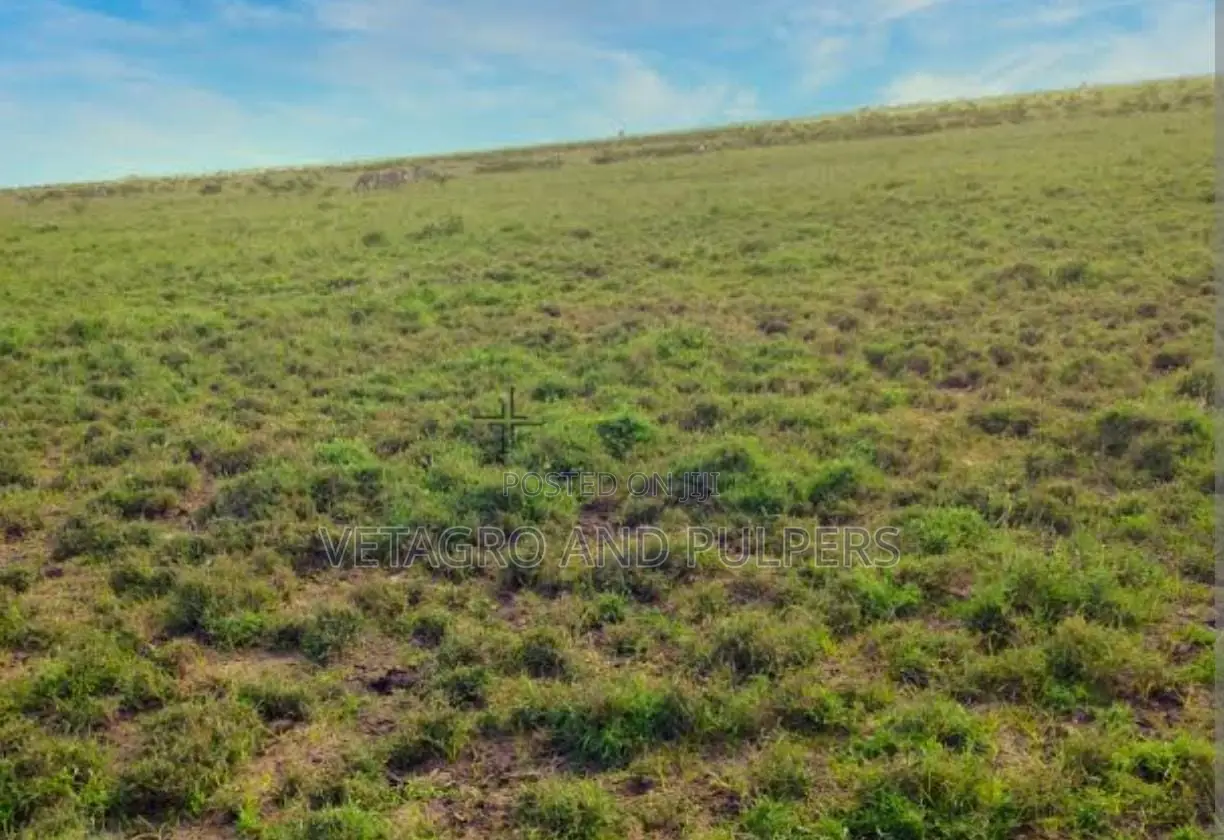Isinya Springs Mixed Use Land