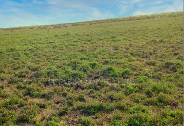 Isinya Springs Mixed Use Land - main view