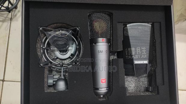 Takstar Sm10 Condenser Microphone
