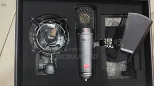 Takstar Sm10 Condenser Microphone