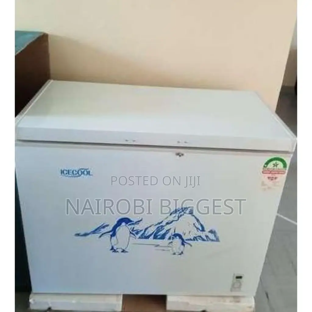 Icecool 169 Litres Best Freezer