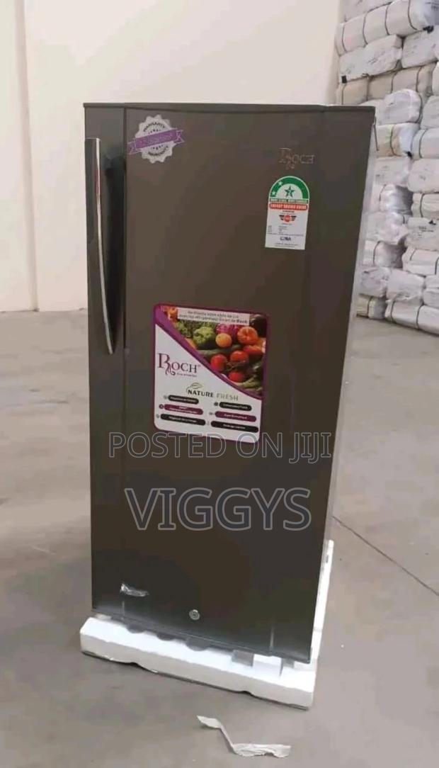 Classic Roch 150 Litres Single Door